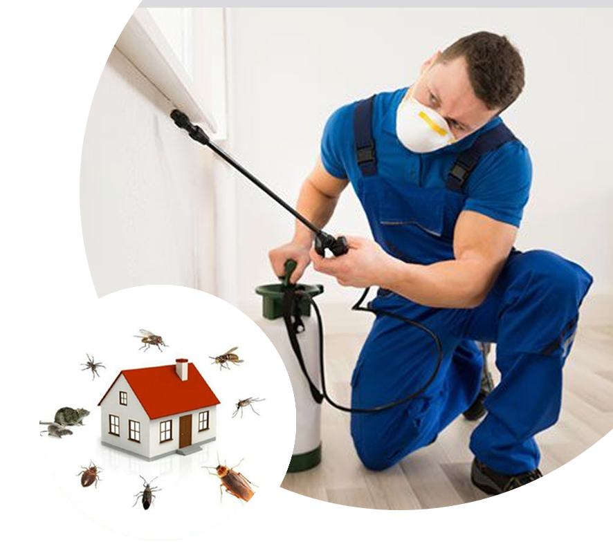 Max Force Pest Control Sydney - Professional Pest Extermination Services in Leppington, Oran Park & Campbelltown