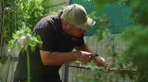 How Often Should You Schedule General Pest Control for Your Home?